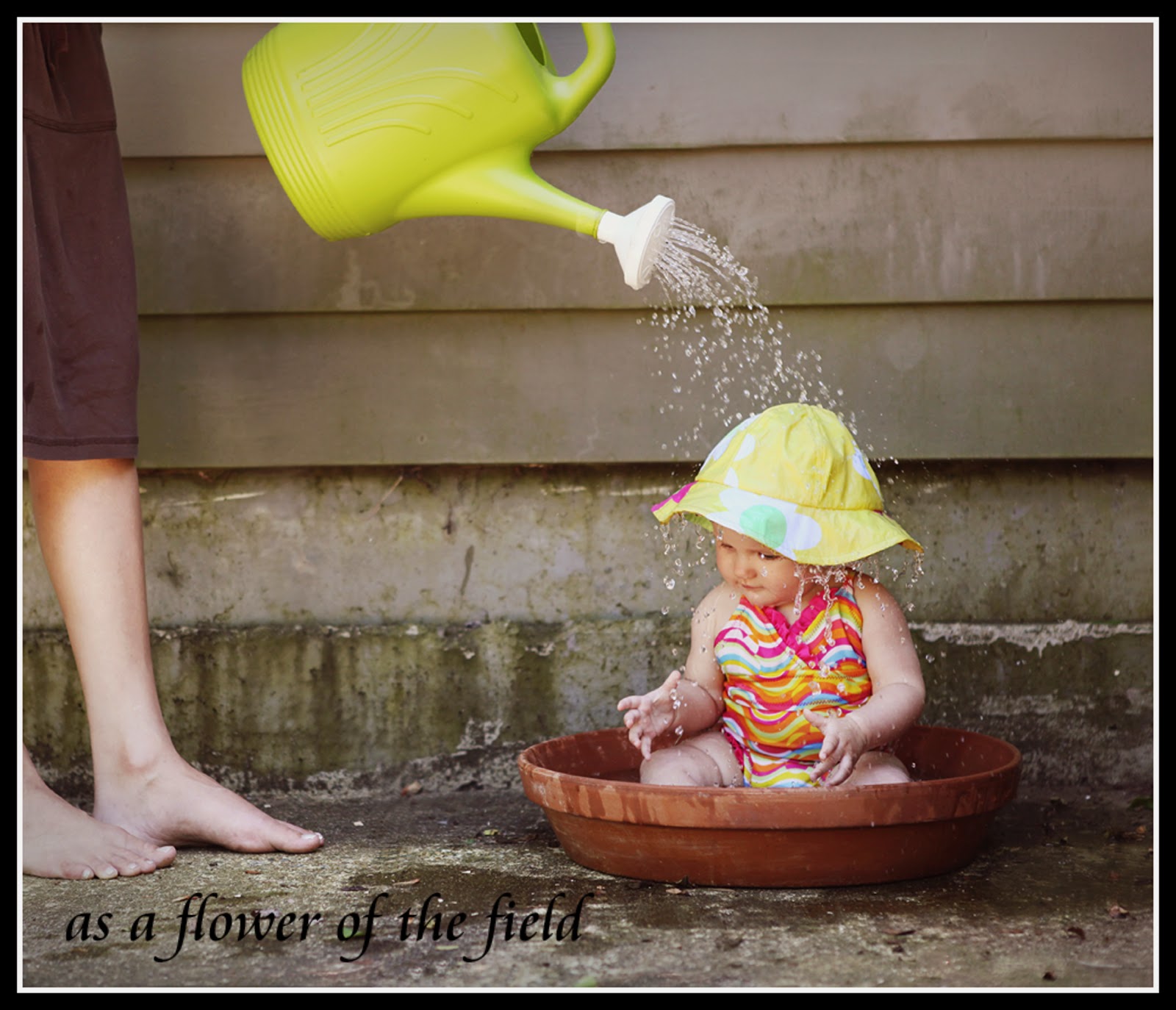 As a Flower of the Field: Shayla -- Baby Photography