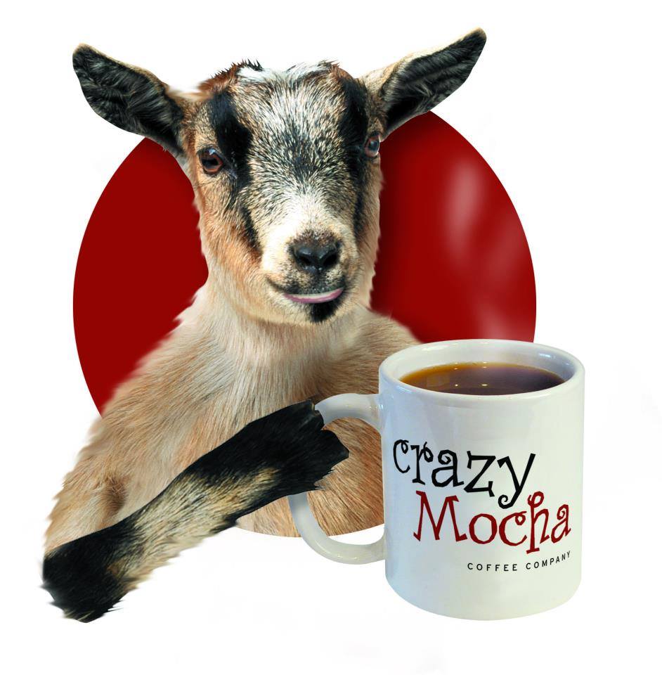 Montclair the crazy dancing goat to the fold