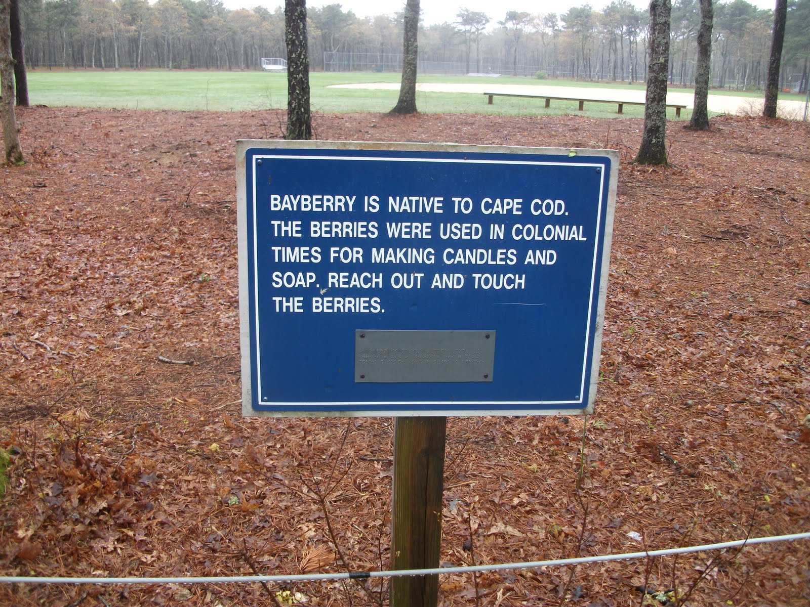 Hike Cape Cod Fresh Pond Conservation Area & Johnny Kelley Recreation