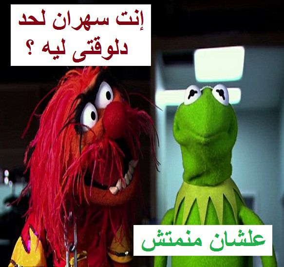 اجمل الصور المضحكة فى العالم
