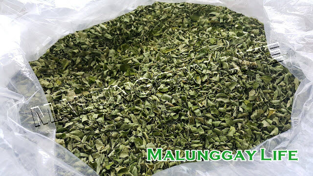 dried-moringa-leaves