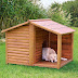 DOG & CAT :- Why need dog kennels?