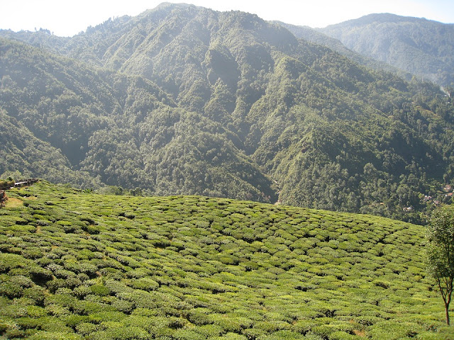 India's Top 10 Hill Stations India's Top 10 Hill Stations