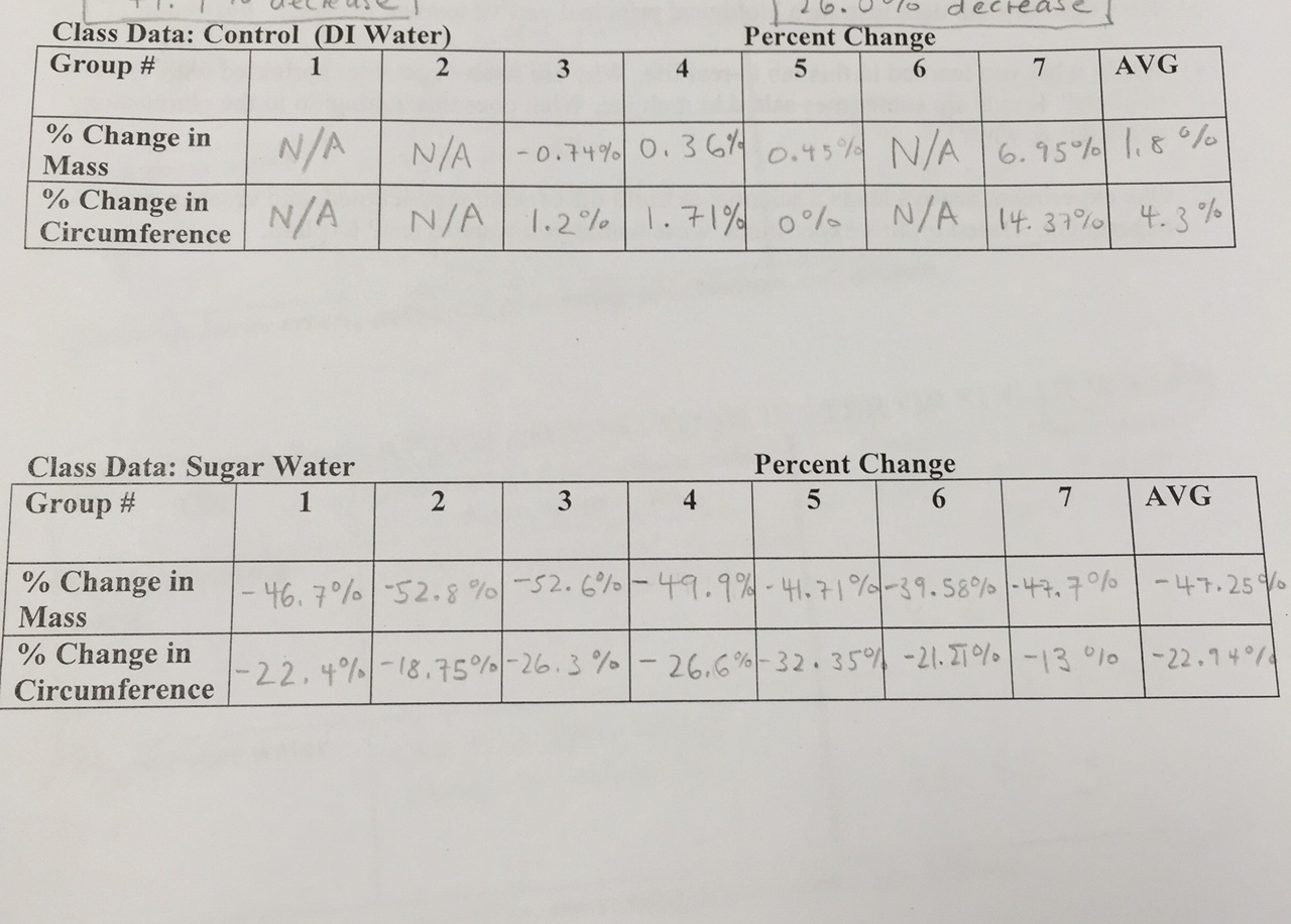 Maya G. Biology Egg Diffusion Lab