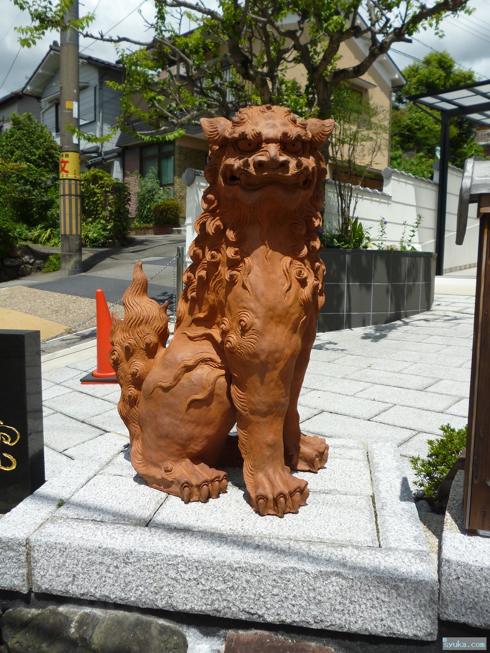 狛犬報道室－色々フリー写真館－: 【散歩】【狛犬】次の神社へ到着するまで 大阪市内では見かけなかった植物があるとテンション上がる！