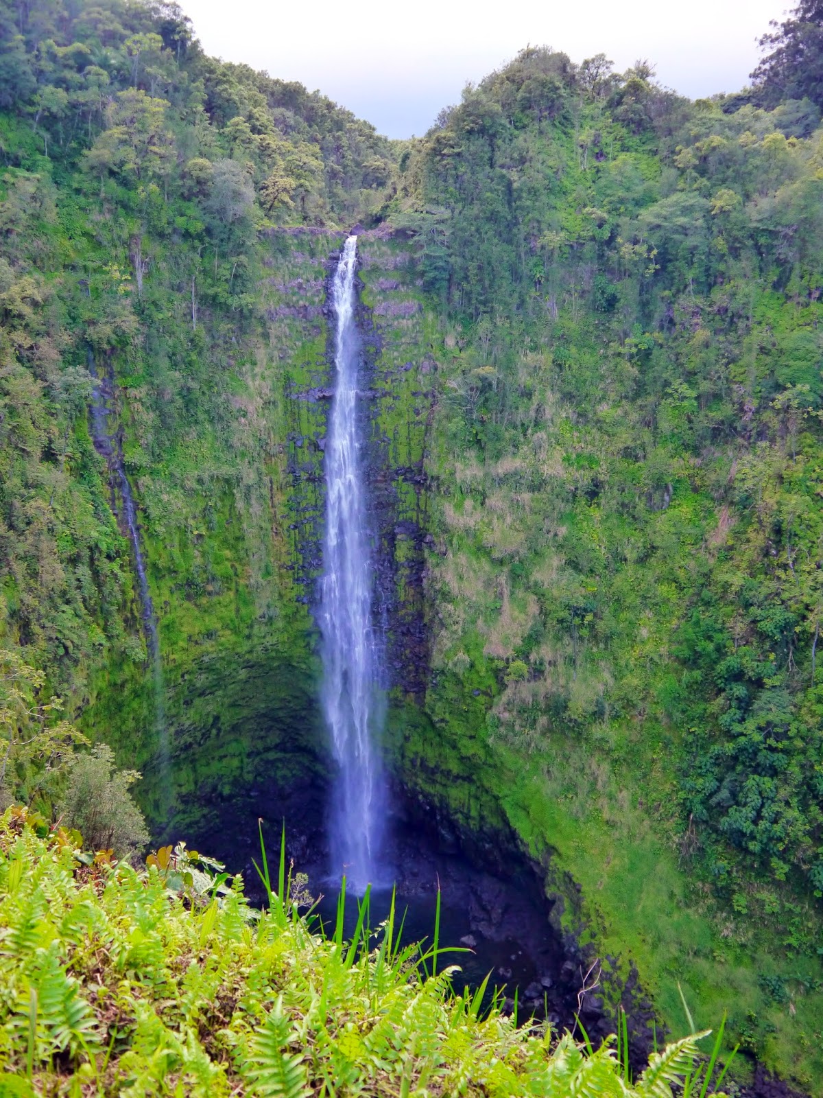 American Travel Journal 'Akaka Falls State Park Honomu, Hawaii