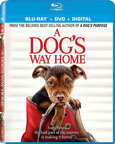 A Dog’s Way Home (2019) 1080p BDRip Dual Audio Latino-Inglés [Subt. Esp] (Drama)