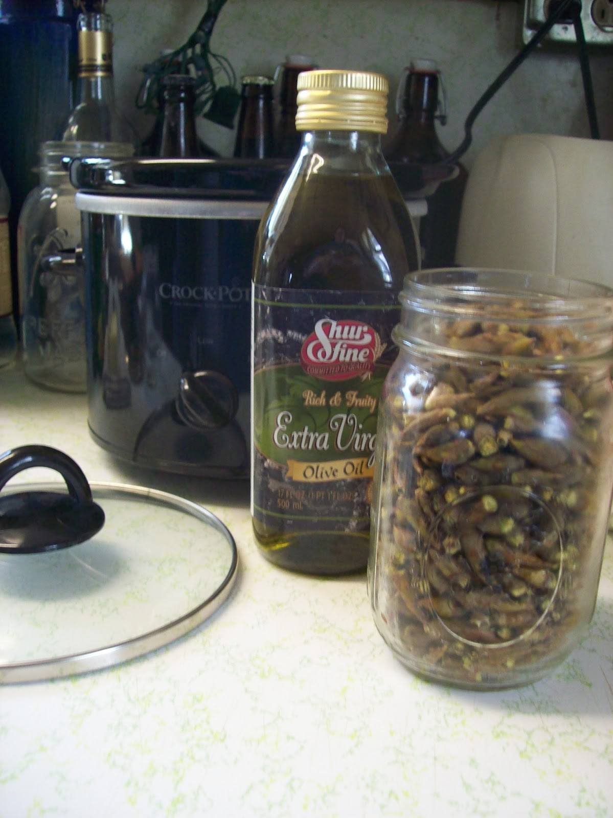 Discovering the worlds at my feet The cottonwood salve, the oil