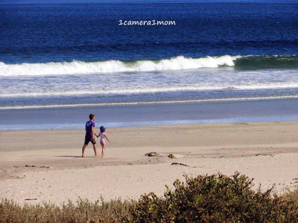 1camera1mom Britannia Bay, South Africa Part 2