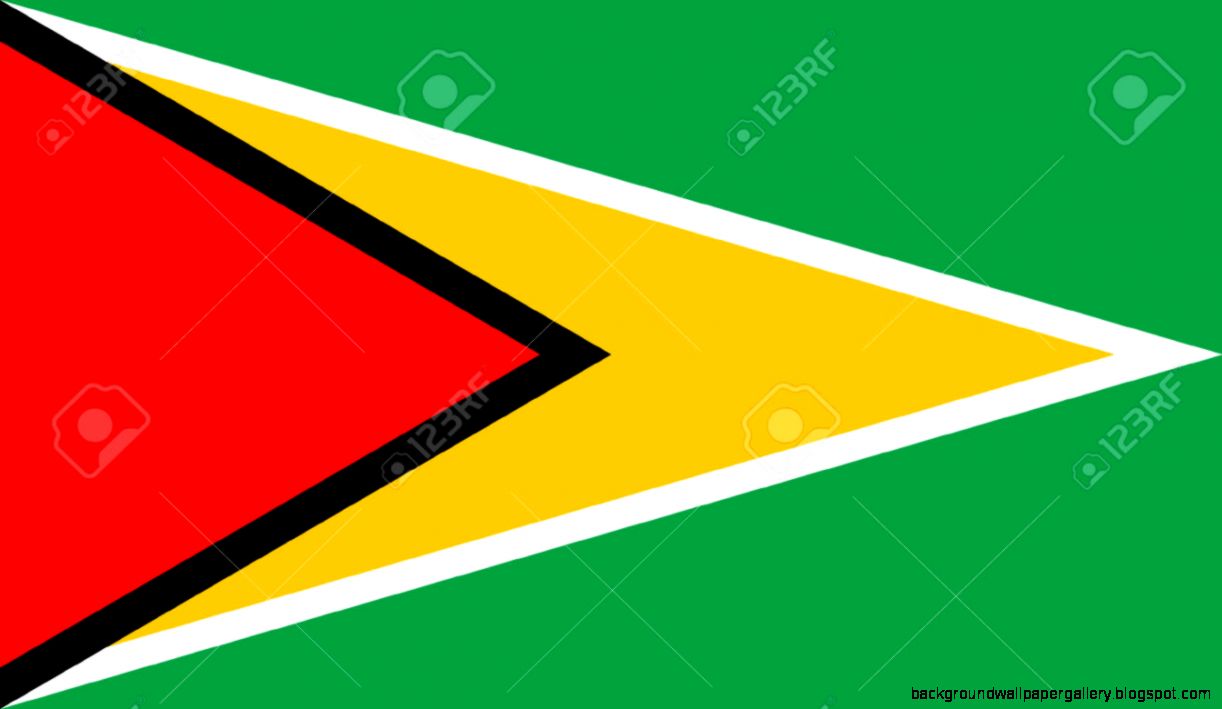 Original And Simple Guyana Flag Isolated Vector In Official Colors