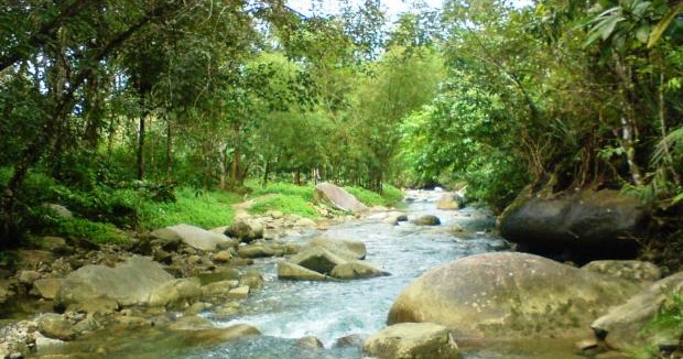 Contoh Artikel Mobilitas Sosial - Contoh Galau