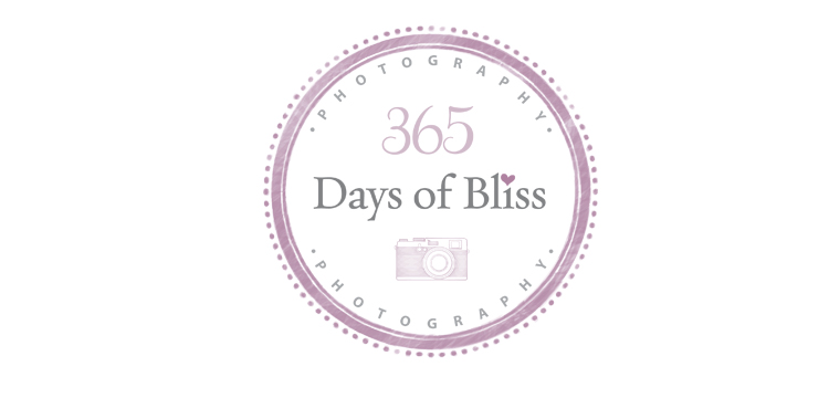 365 days of bliss