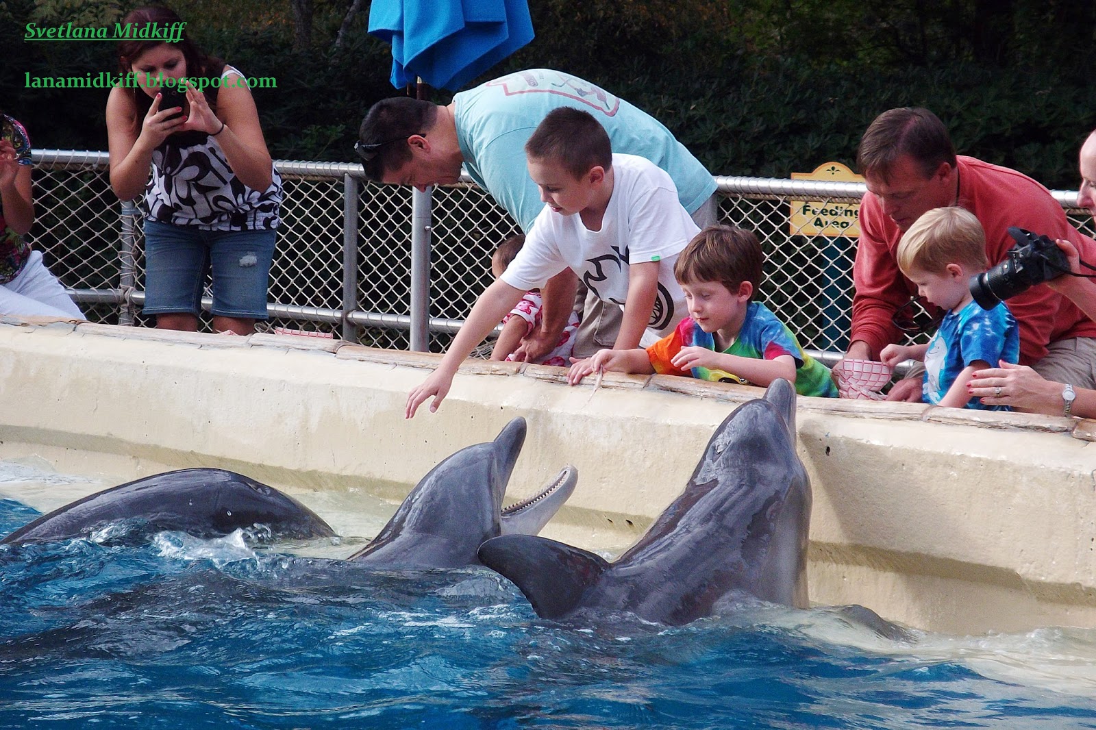 Люди дельфины песня. Человек Дельфин. Человек на дельфине. Дельфин и человек врач.