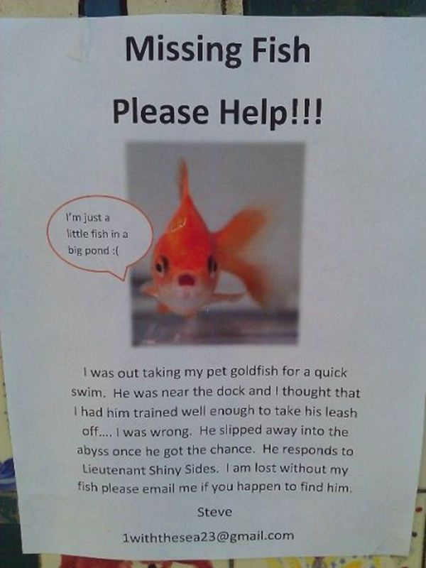 Funny Lost And Found Signs 30 Pics Funny Signs funny-lost-and-found-signs-30-pics-funny-signs