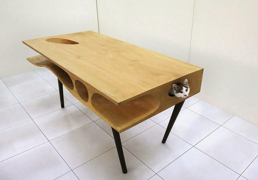 Cat Play Table