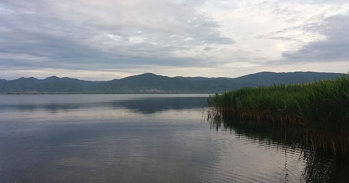 Î‘Ï€Î¿Ï„Î­Î»ÎµÏƒÎ¼Î± ÎµÎ¹ÎºÏŒÎ½Î±Ï‚ Î³Î¹Î± agriniolike ÎºÎ±Î¹ÏÏŒÏ‚