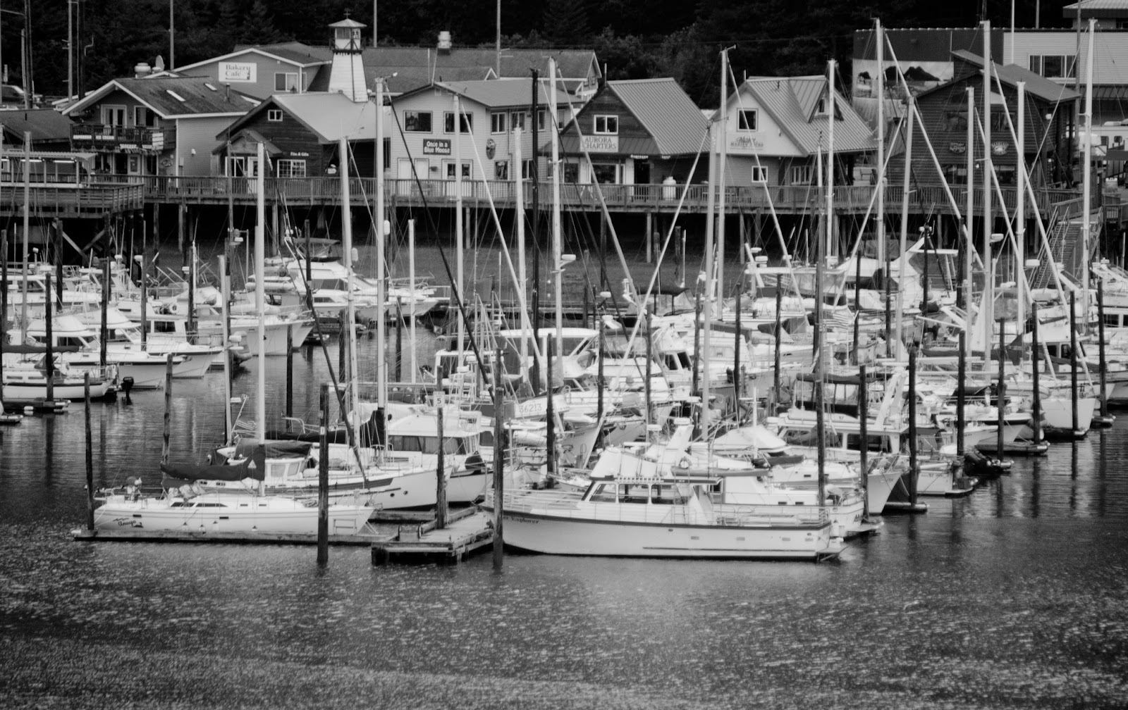 Alaska The Soldotna Solution