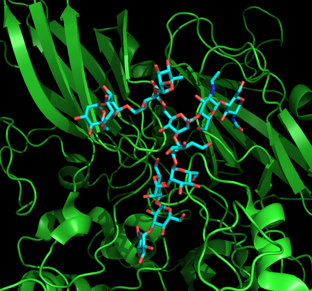 Биоинформатика картинки для презентации