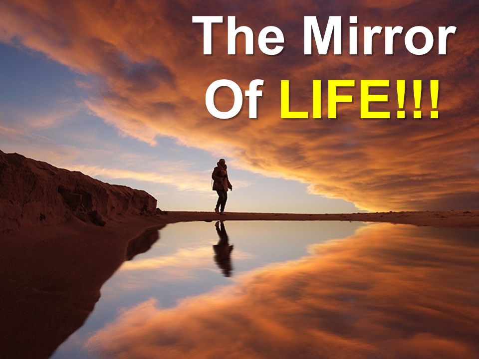 Word of the day The mirror of life