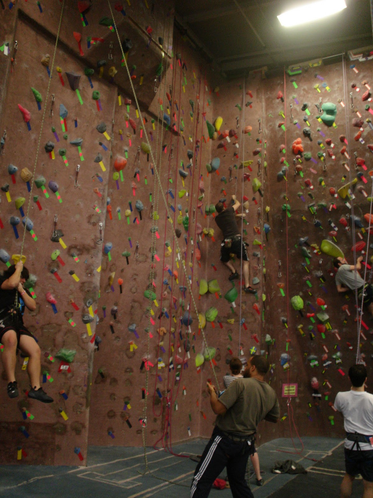 Pay a Visit Indoor Rock Climbing at Brooklyn Boulders