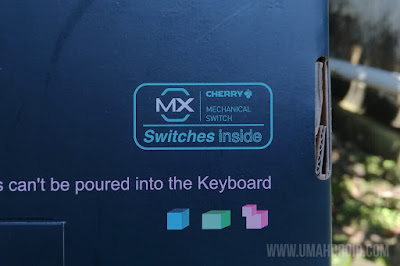 Cherry MX Switches
