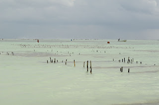 low tide in the morning in front of the beach of page