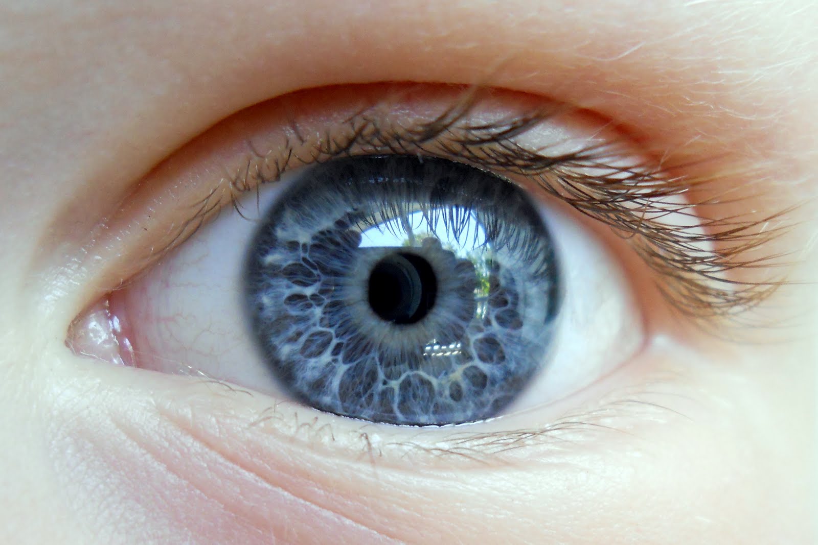 Eyeball protrusion in blindness, symptoms of graves ' disease