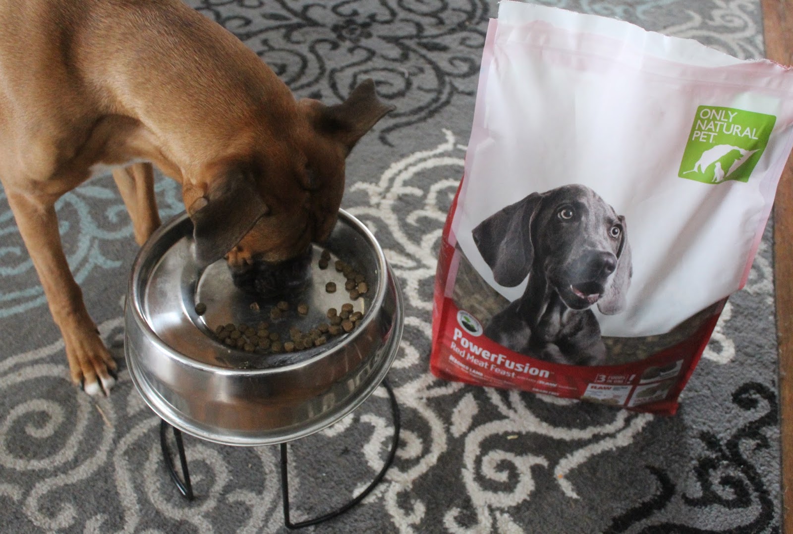 Dog Madness PowerFusion Grain Free Raw Infused Dog Food Is Pawesome