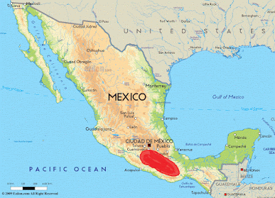 endemic birds Mexico