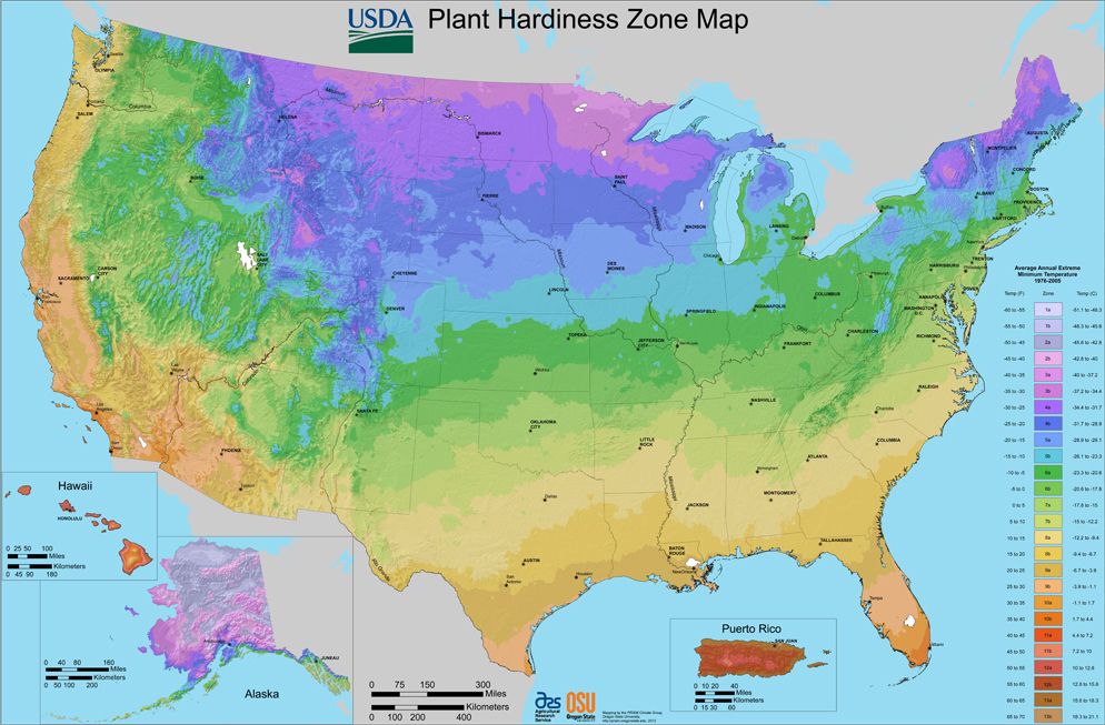 W & W Nursery & Landscaping: Understanding Plant Hardiness Zones
