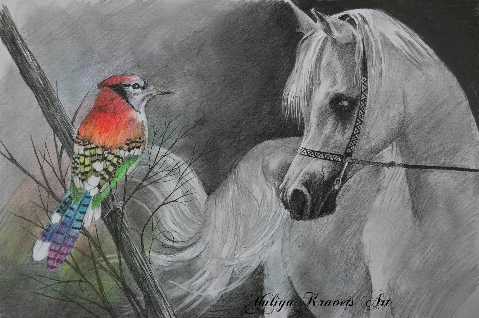 MY HORIZONS: Horse and bird