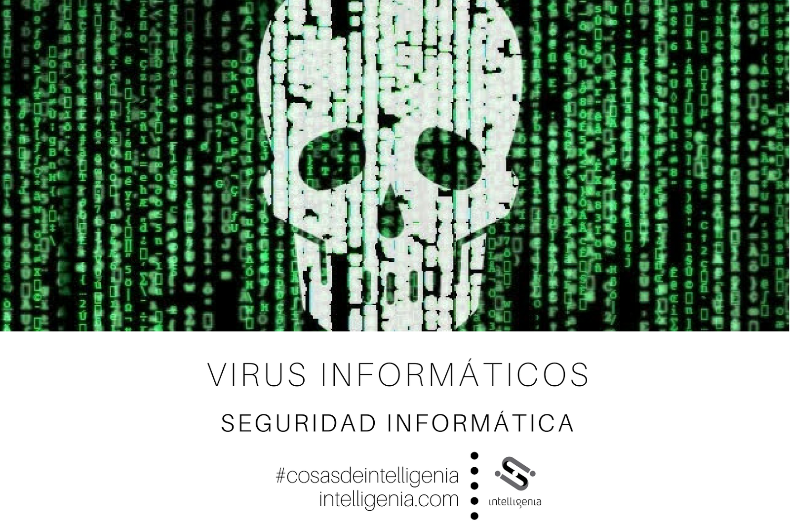 Intelligenia :: Guía sobre Seguridad Informática o Ciberseguridad