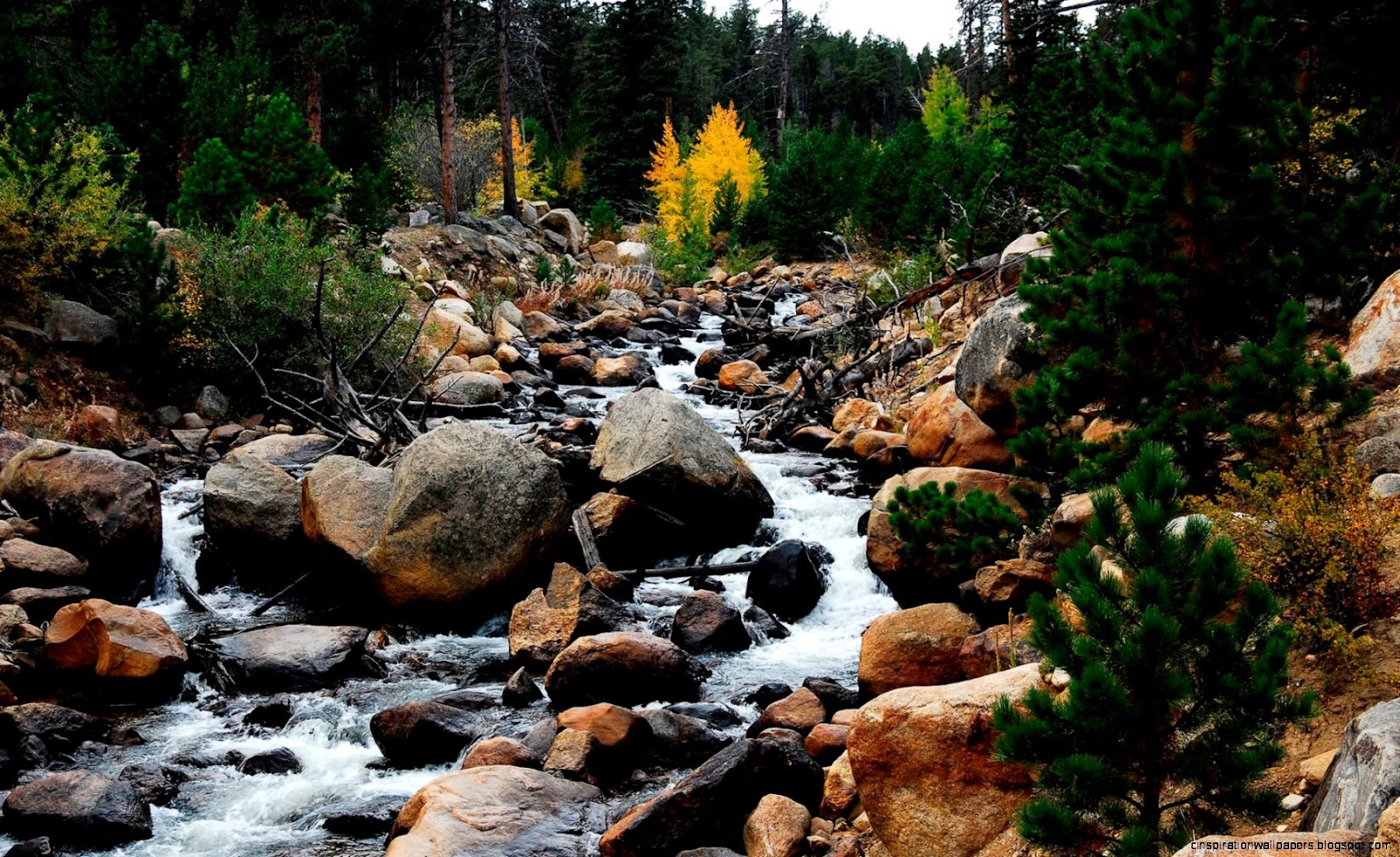 Rocky Mountain River