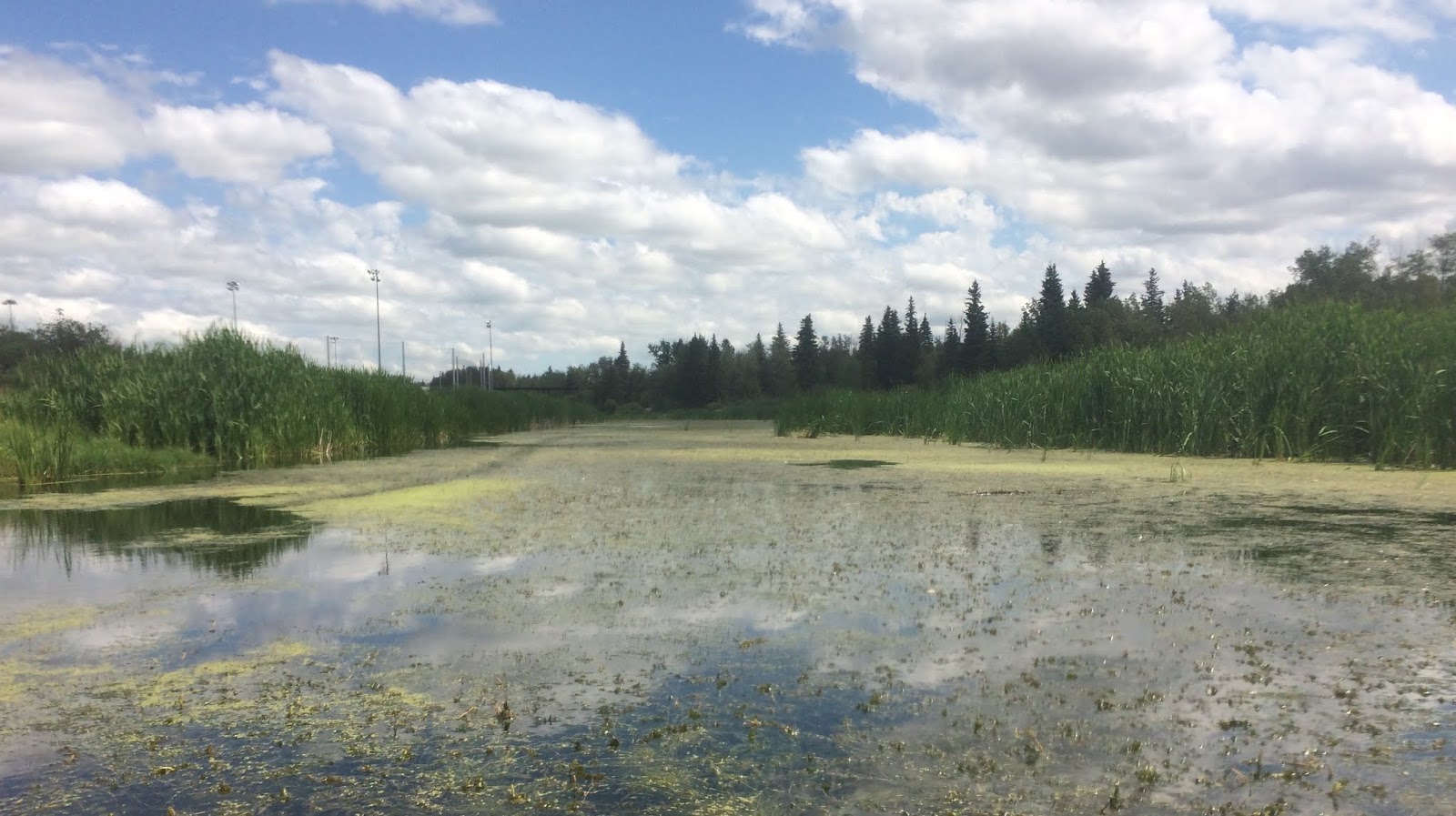 Canoeing Around Edmonton, Alberta, Canada Summer on the Sturgeon