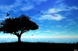 Info Wallpapers: hd wallpaper