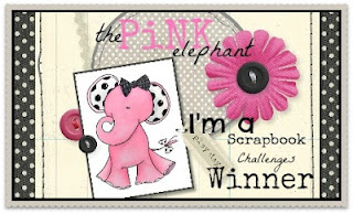 The Pink Elephant Challenges