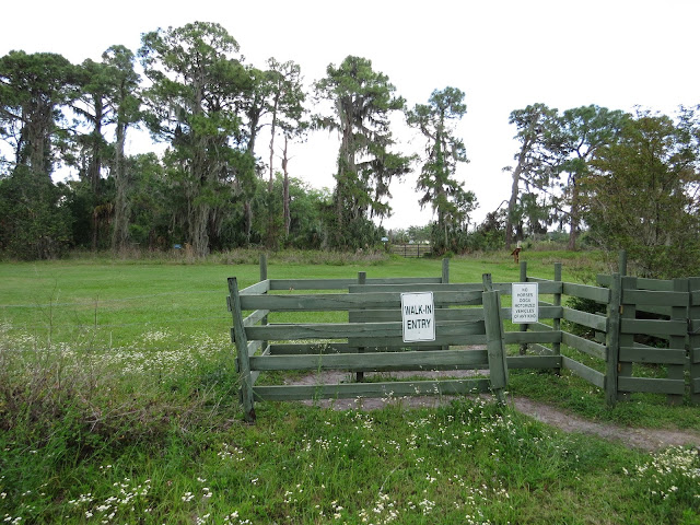 Felts Audubon Preserve, Florida Felts Audubon Preserve, Florida