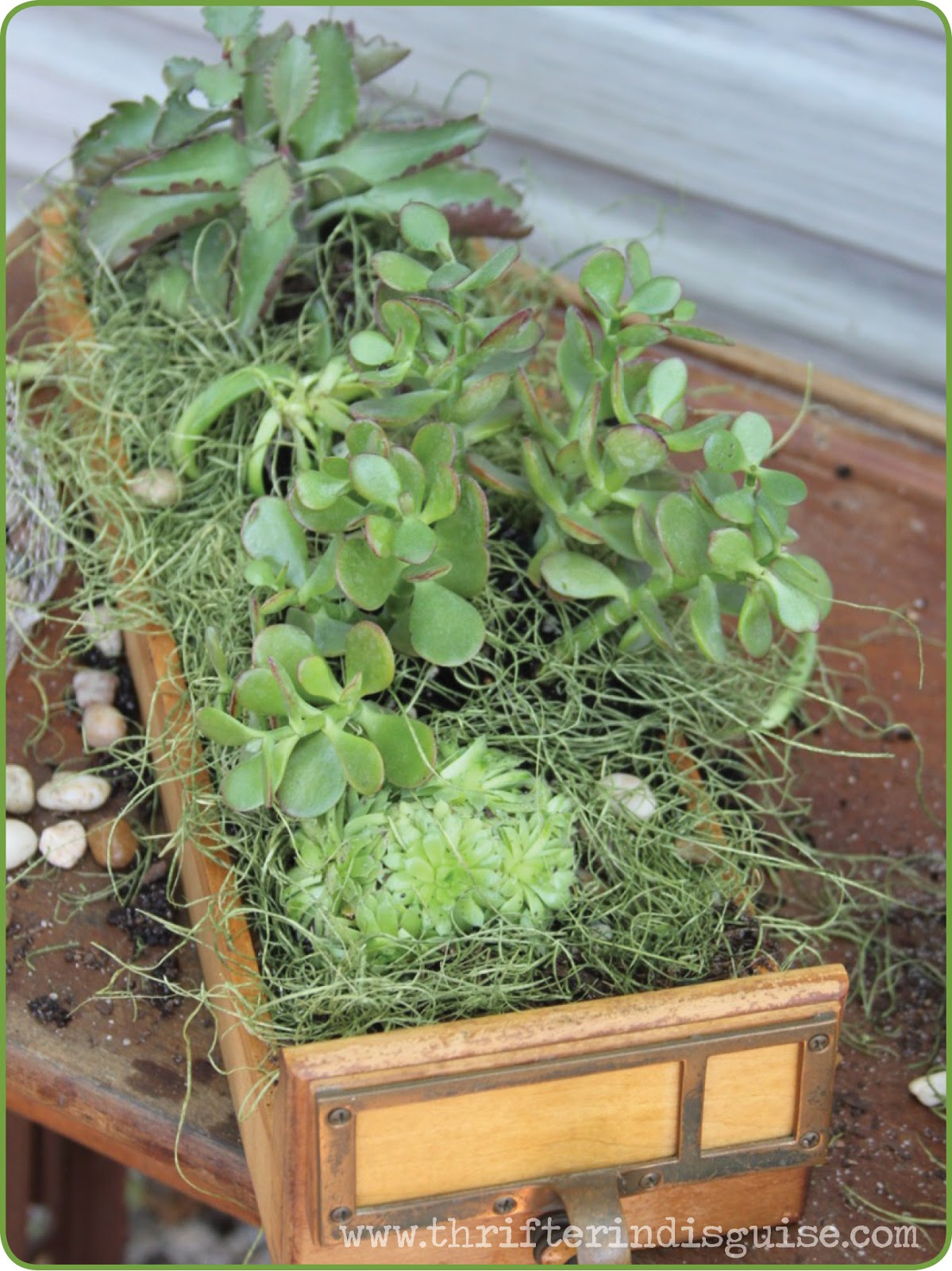 A Thrifter in Disguise Fab Ideas for Antique Card Catalog Drawers