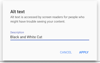 Black and White Cat Description in Alt Text Box