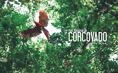 Affiche publicitaire du parc national Corcovado au Costa Rica.