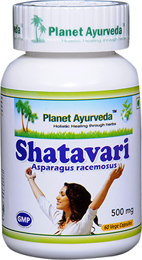 shatavari, capsules, health, benefits, dosage, various forms, planet ayurveda, shatavari herb