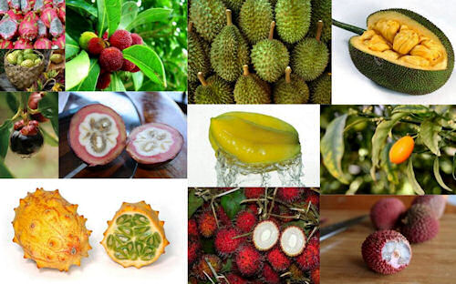 11 fotografías de frutas exóticas (vista exterior e interior)
