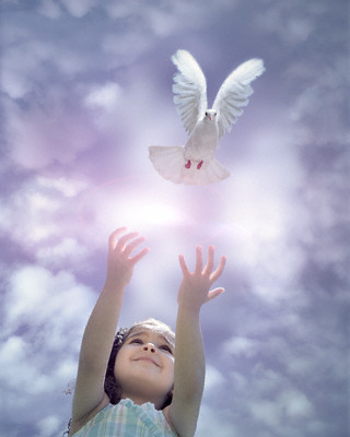 Cristiforme: AFINAL, O QUE É A PAZ?