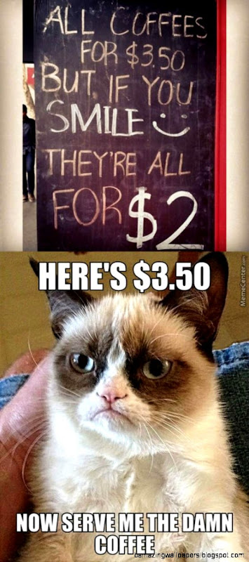 Grumpy Cat Image Gallery  Know Your Meme