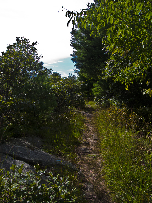 Connecticut Explorer Hiking Around Sleeping Giant