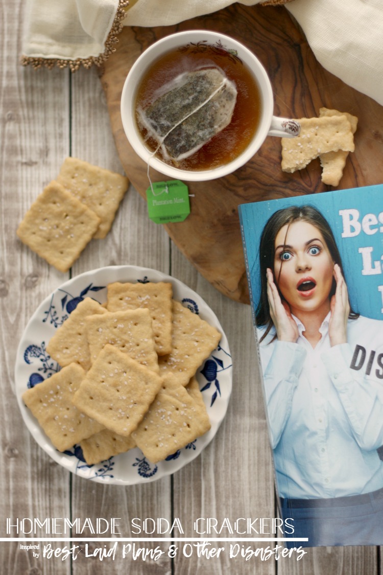 Homemade Soda Crackers (Saltines) | Best Laid Plans & Other Disasters