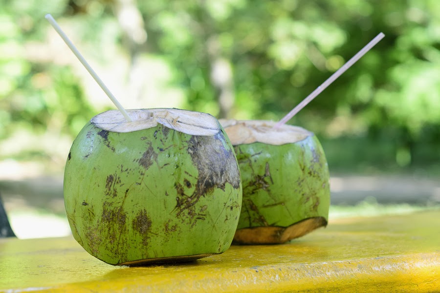Fresh Coconut Water (Buko Juice)