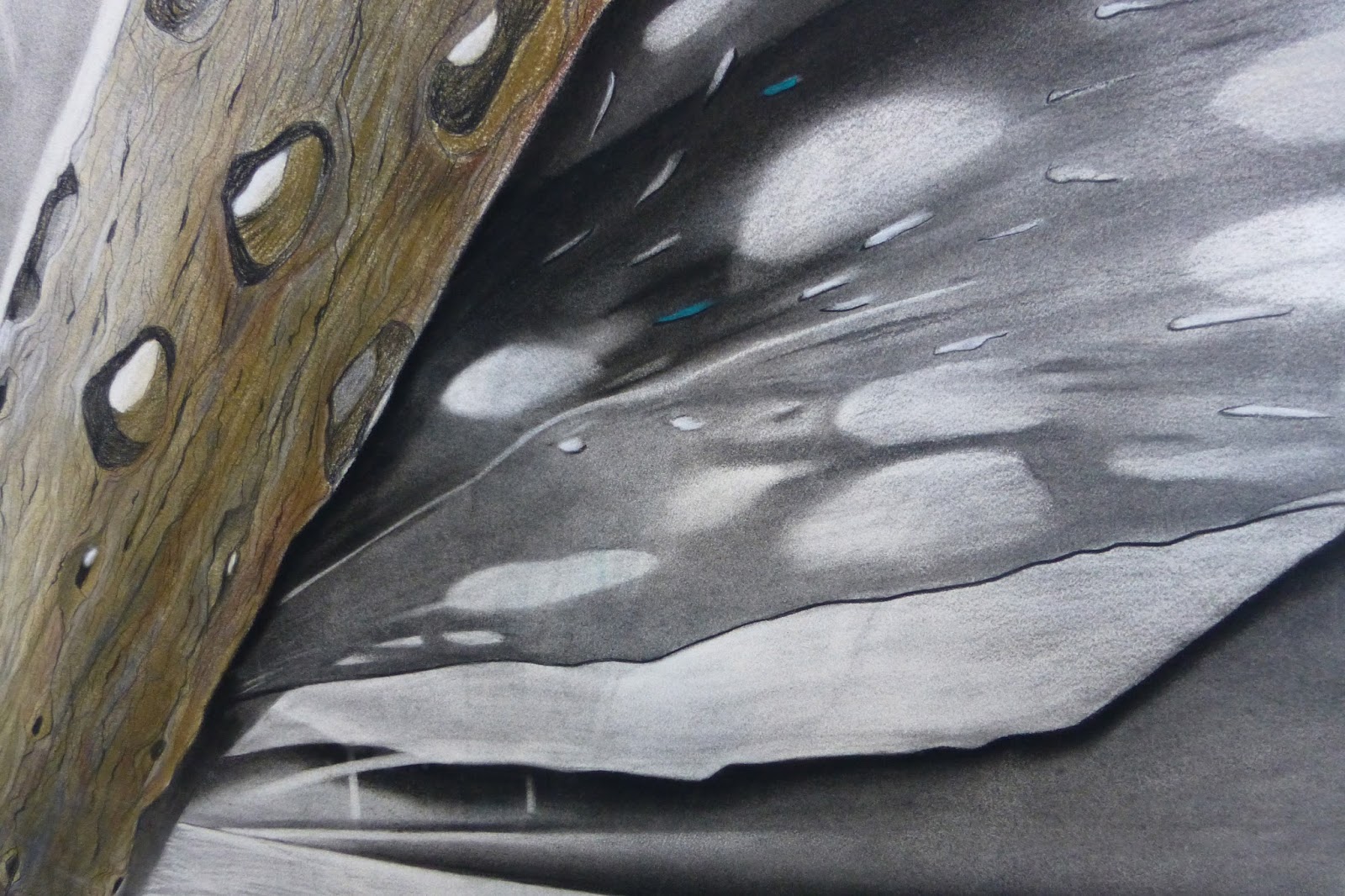 All Finite Things Reveal Infinitude . . . TUESDAY POEM The Rain Stick by Seamus Heaney