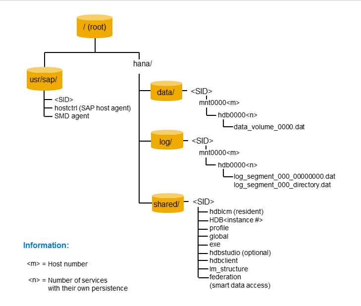 Sap basis and hana hana file system layout