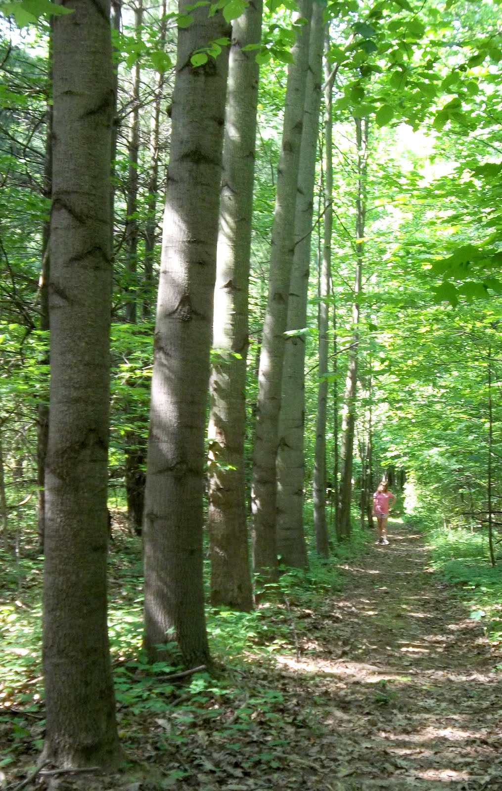 Unearthing My Creative Identity Seven Pillars of the Mississinewa